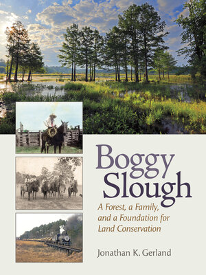 cover image of Boggy Slough